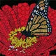 5D DIY Special-Shaped Drill-Butterfly Flower 30*30CM