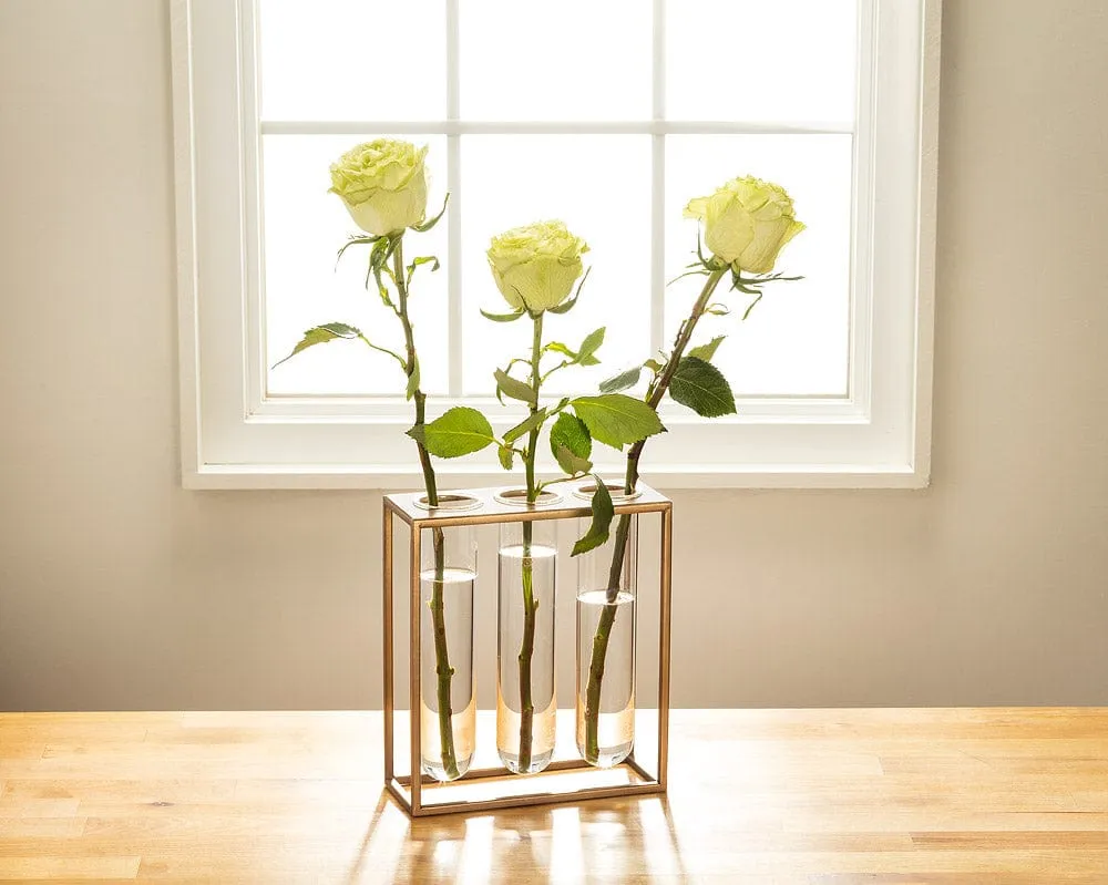 Abbott Triple Tube Vase With Rack