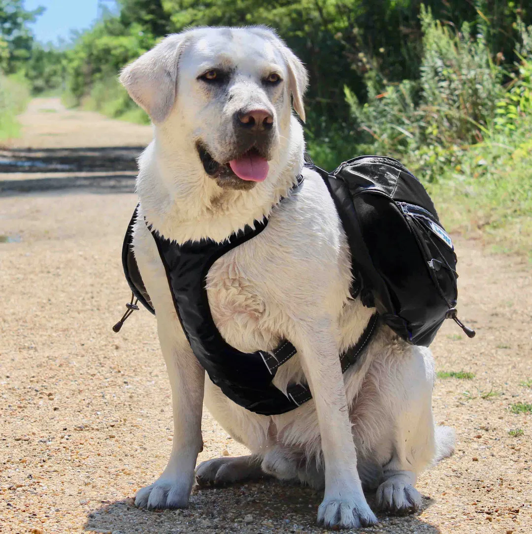 Bay Dog Saranac Saranac Dog Backpack Black Large