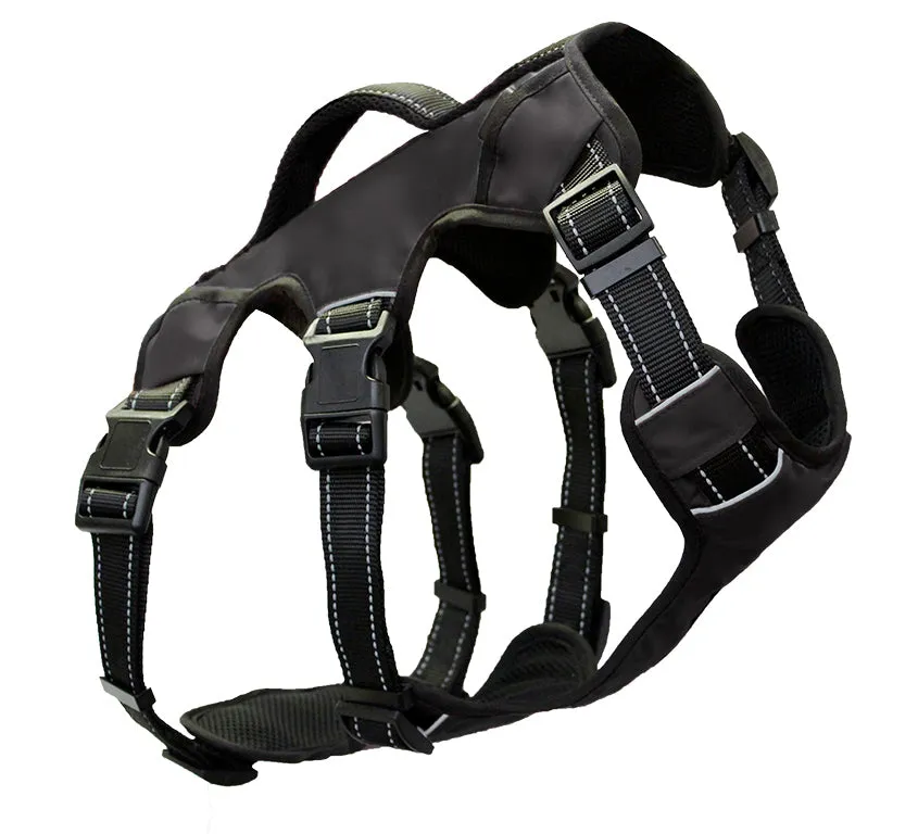 Bay Dog Saranac Saranac Dog Backpack Black Large