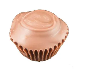 Chocolate Cherry Cordials 8 Ounce Box
