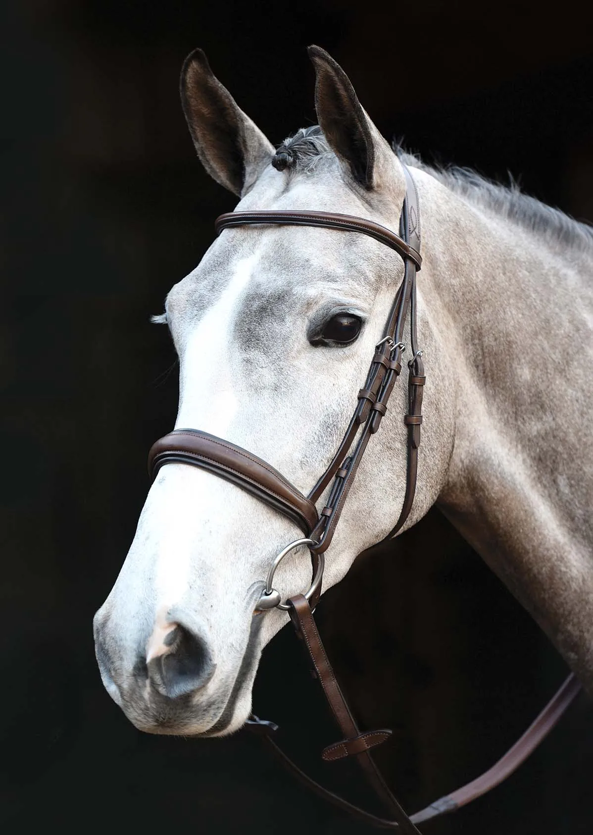 Collegiate Mono Crown Padded Raised Cavesson Bridle