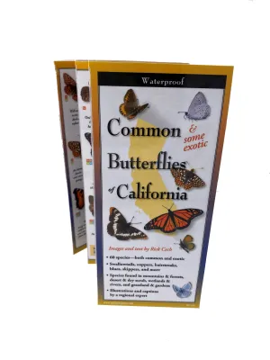 COMMON BUTTERFLIES OF CALIFORNIA