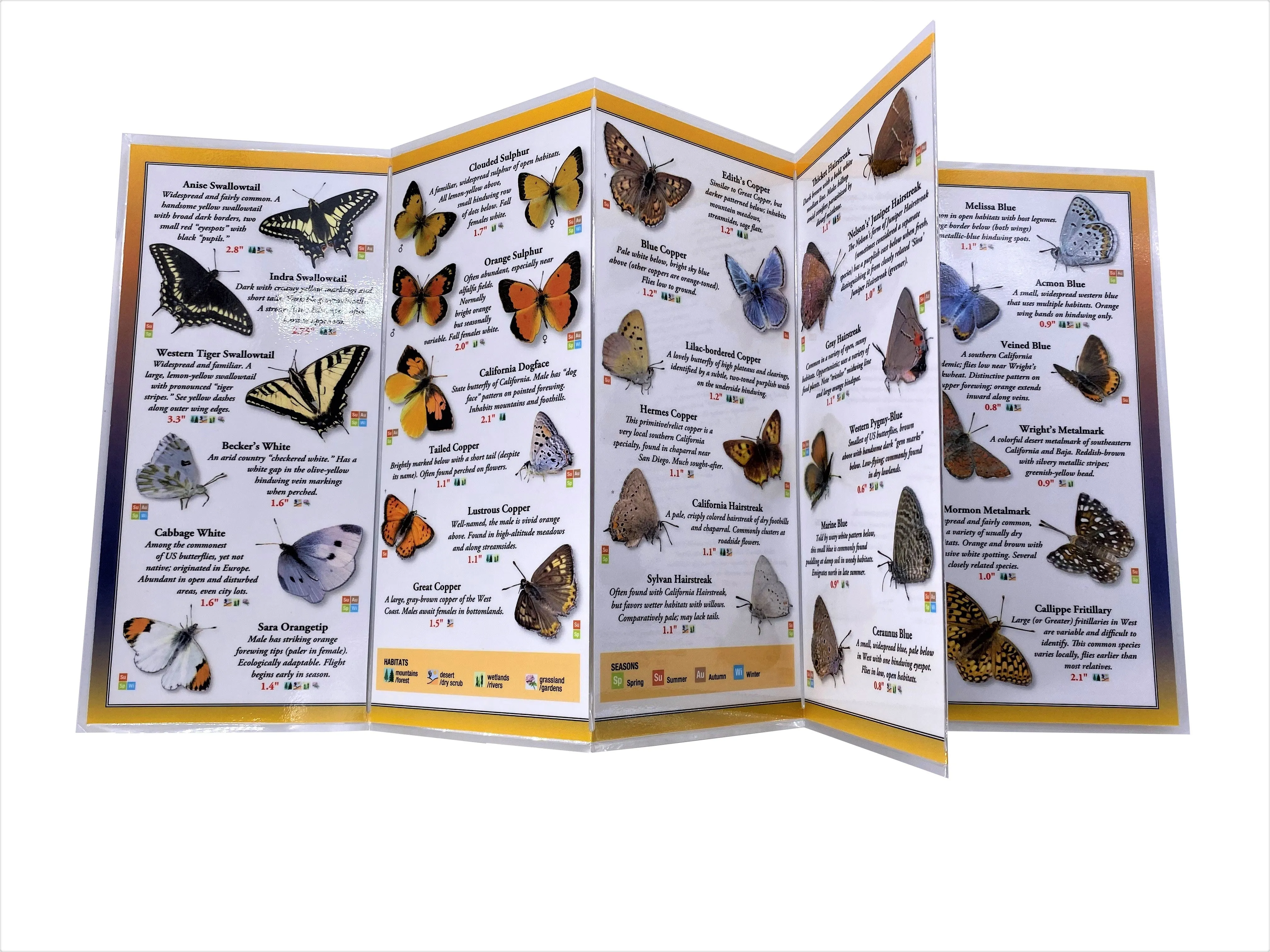 COMMON BUTTERFLIES OF CALIFORNIA