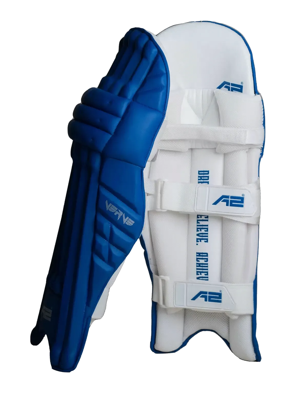 Cricket Batting Pads - Blue