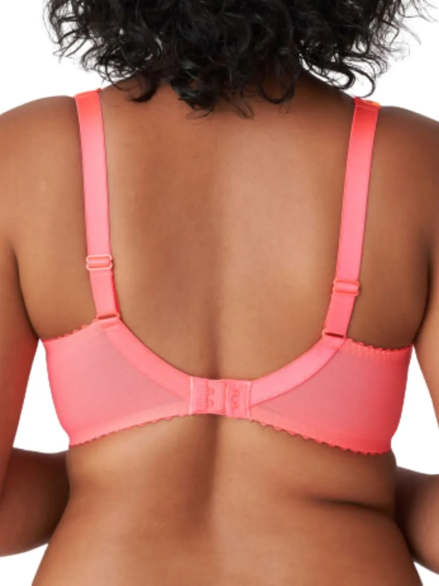 Devdaha Full Cup Bra - Tropicana