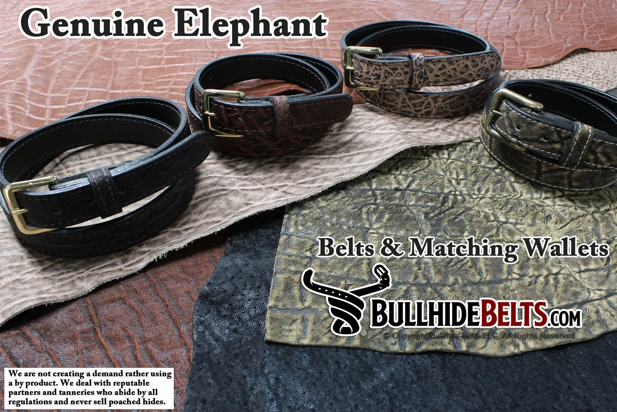 Dragon Fire Elephant Money Clip Wallet With Credit Card Slots