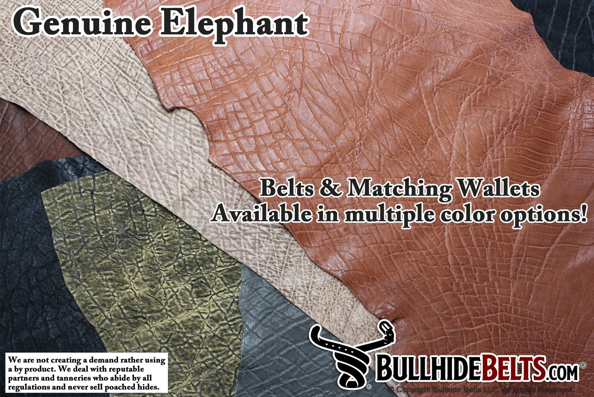 Dragon Fire Elephant Money Clip Wallet With Credit Card Slots