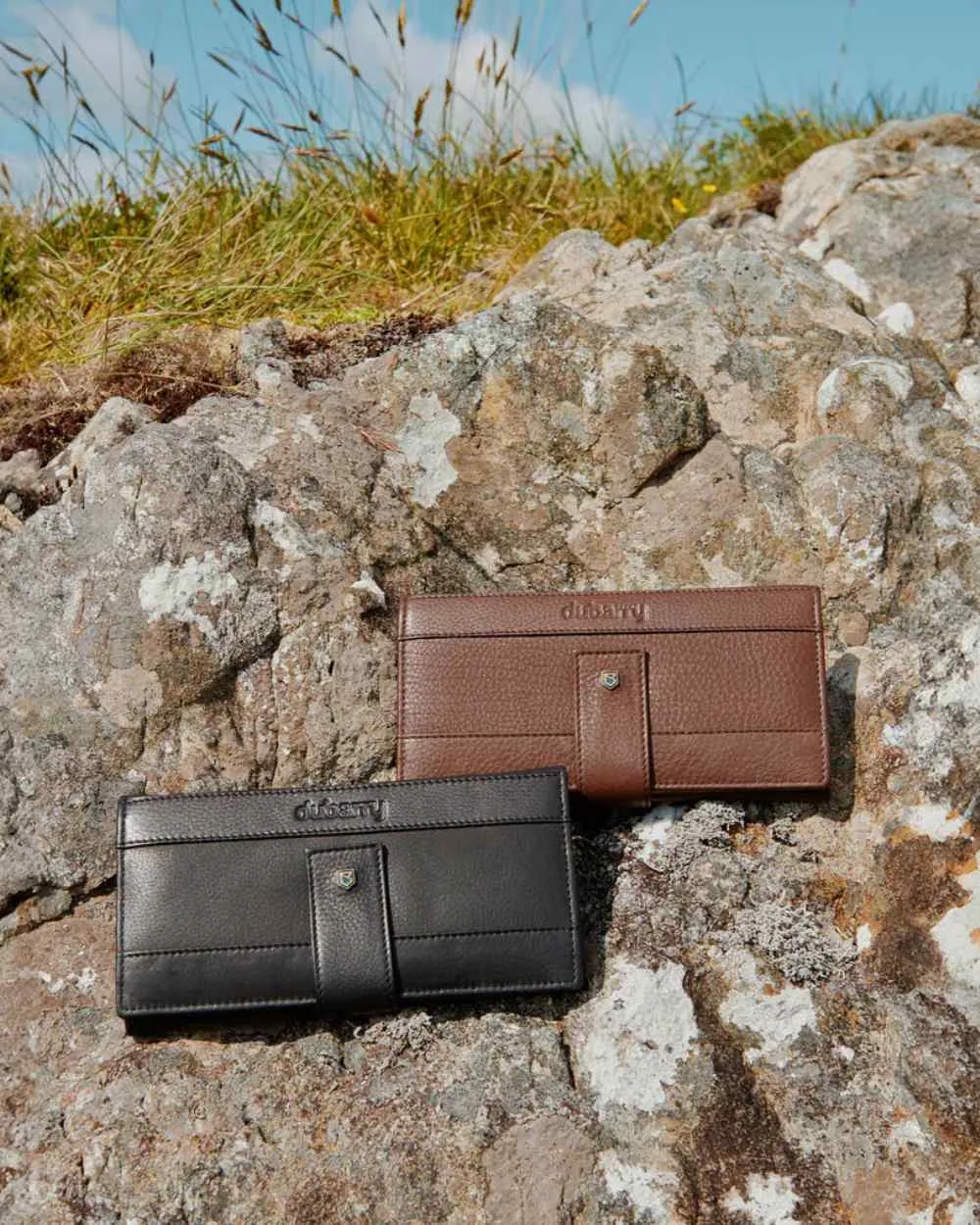 Dubarry Strawhill Ladies Wallet
