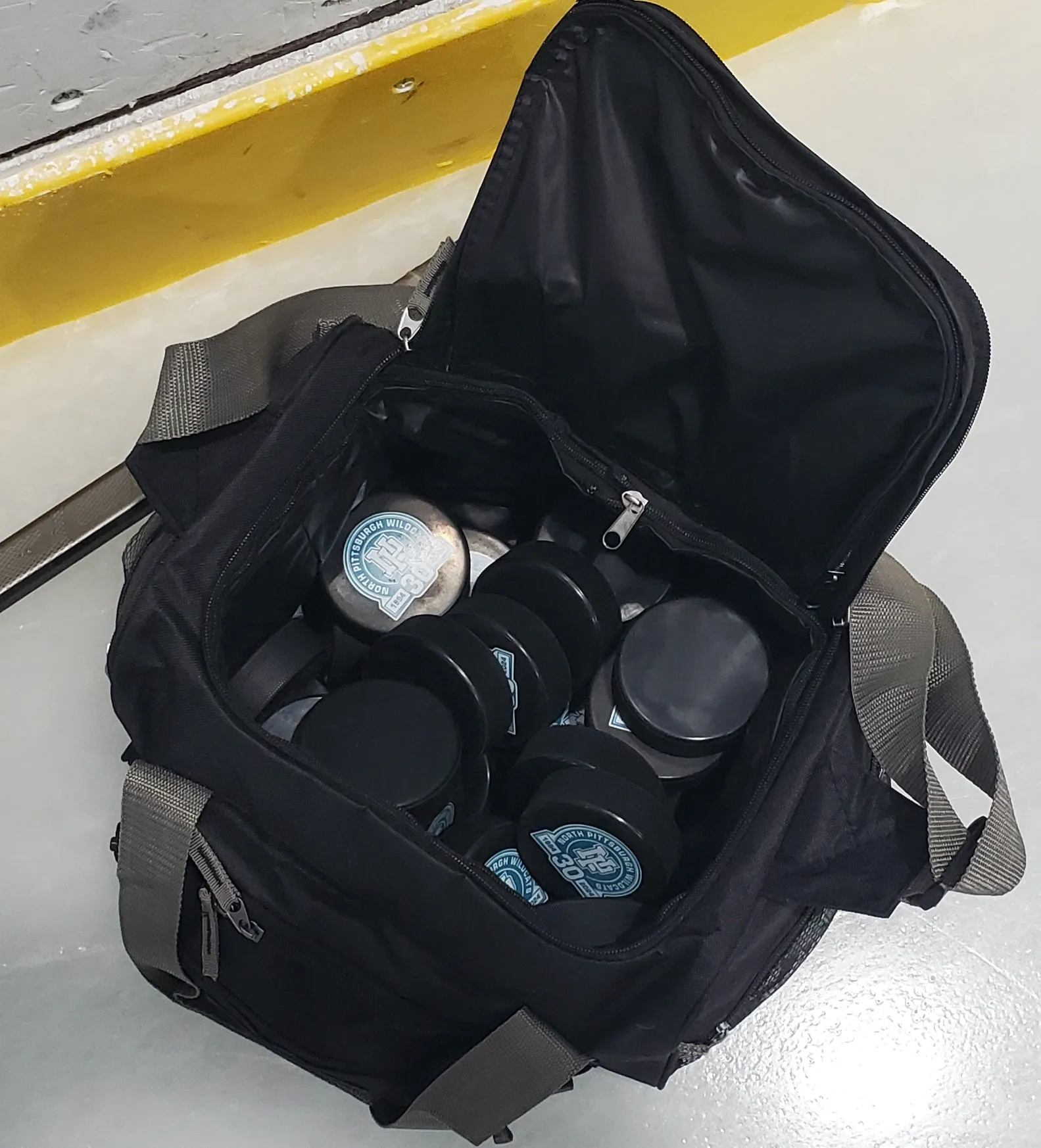 FMC Game Day Cooler/Puck Bag