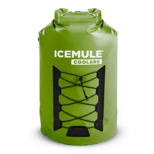 Icemule Pro Sea Green Insulated Travel Backpack Cooler