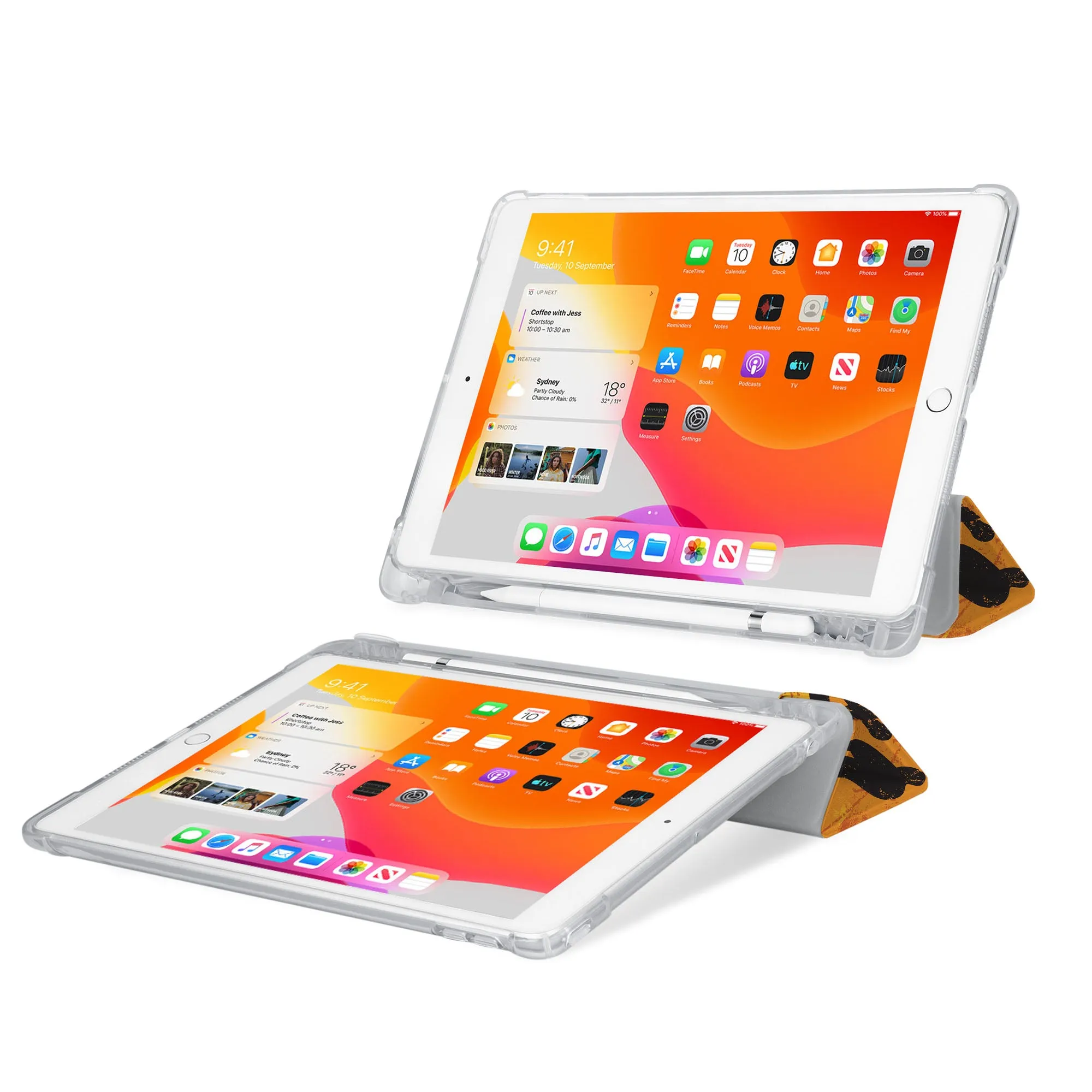 iPad SeeThru Case - Music