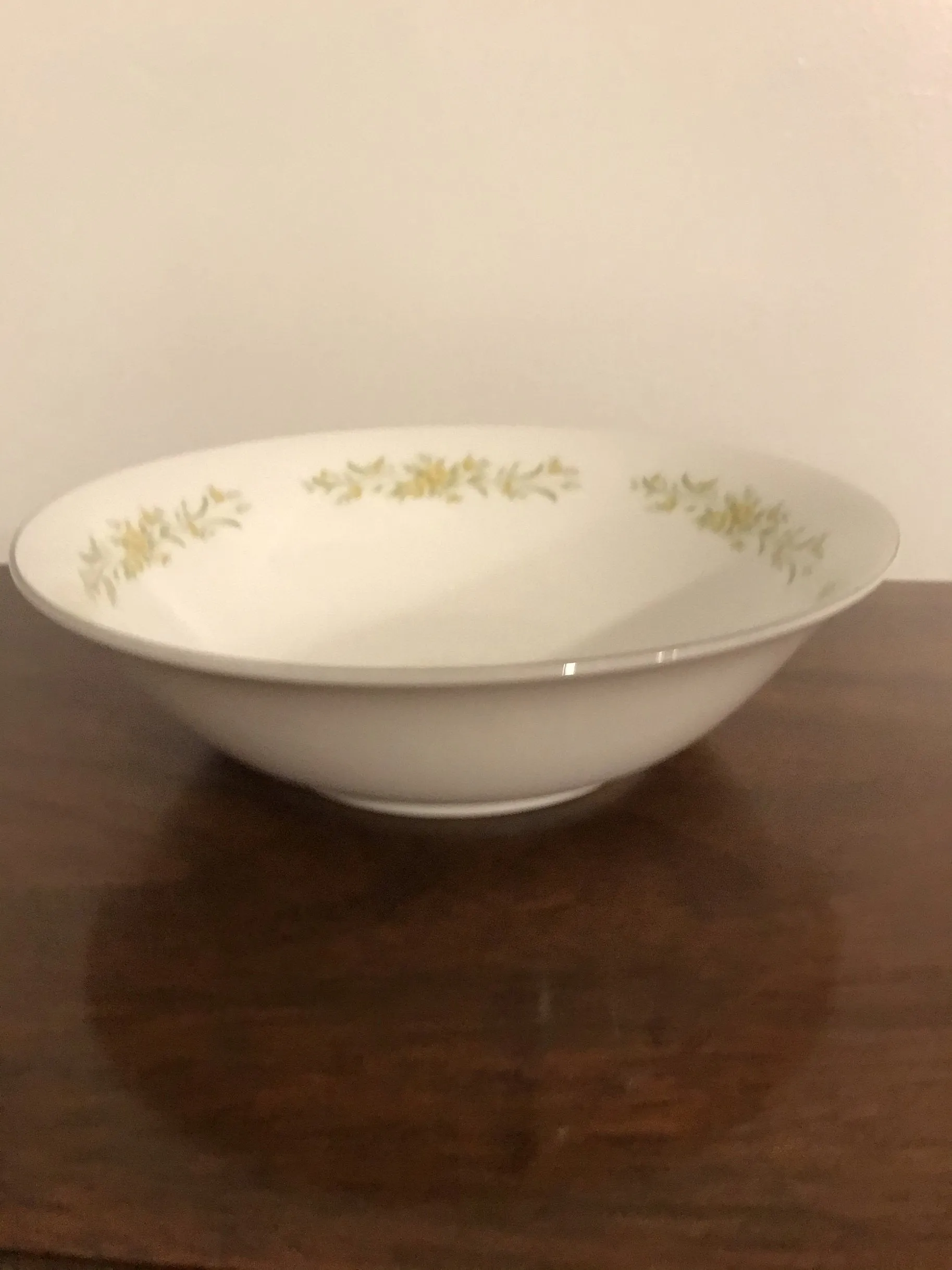 <€€ Vintage China ROYAL M NEWPORT Yakama Japan  464 Green Silver Set Retired