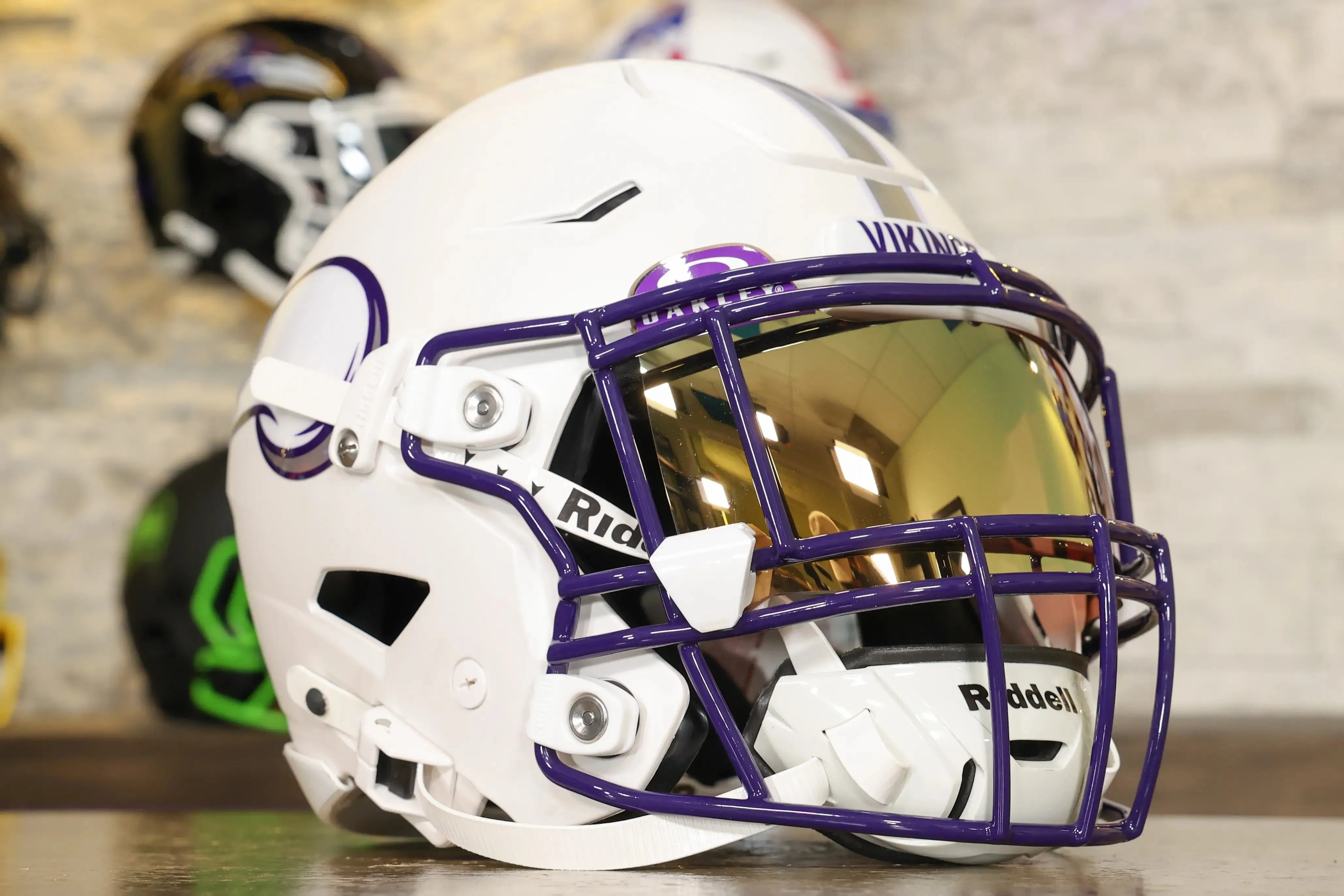 Minnesota Vikings Alternate Riddell SpeedFlex Helmet - Alternate #2 - GG Edition 01099