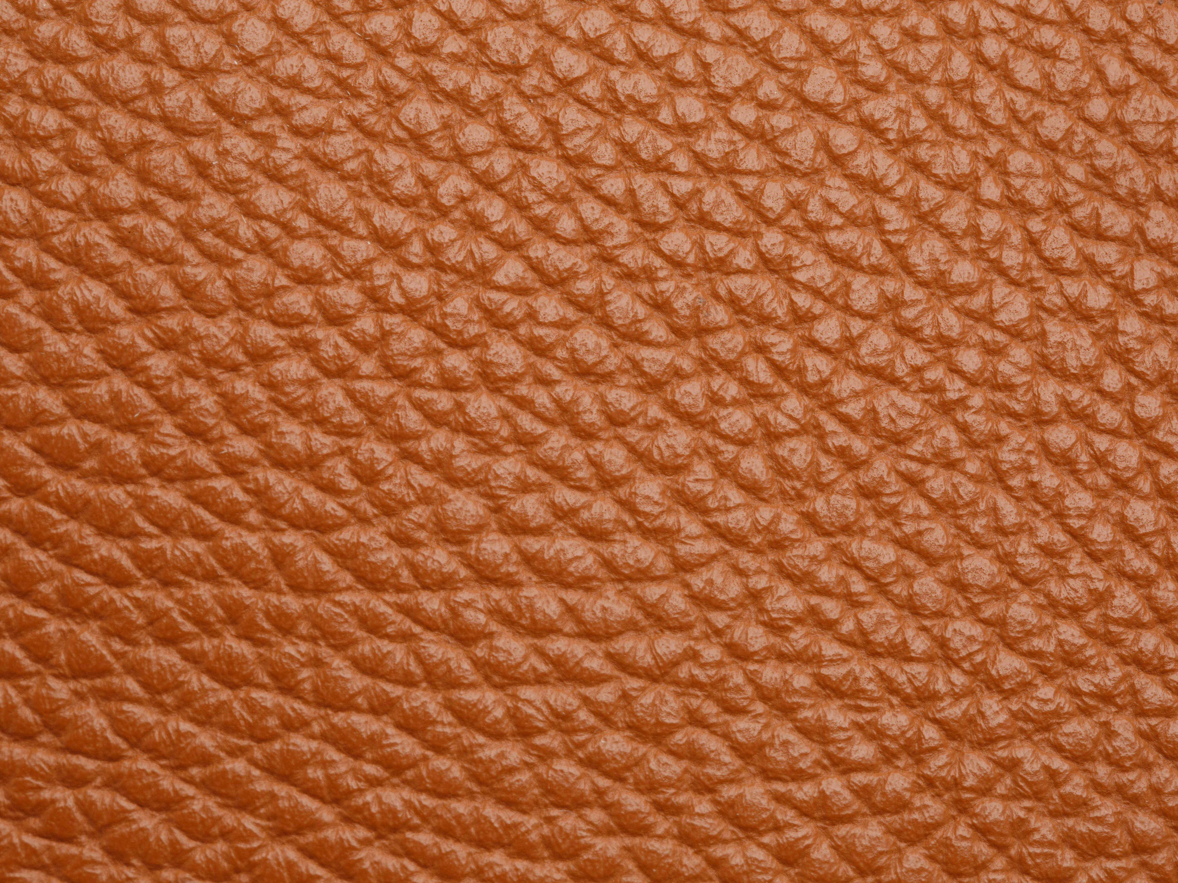 Monfrini 8" Accordion Zip Wallet