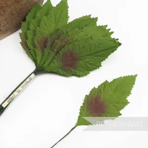 'Riley' Vintage 1950's Japanese Silk Wired Daisy Leaves - 24 Stems