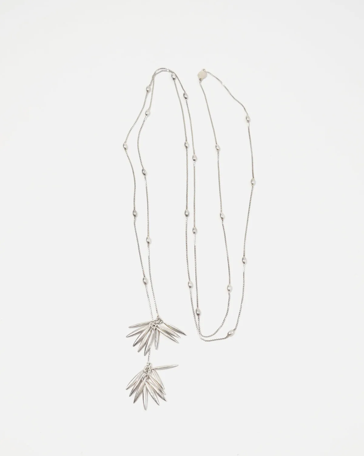Silver Long Chain