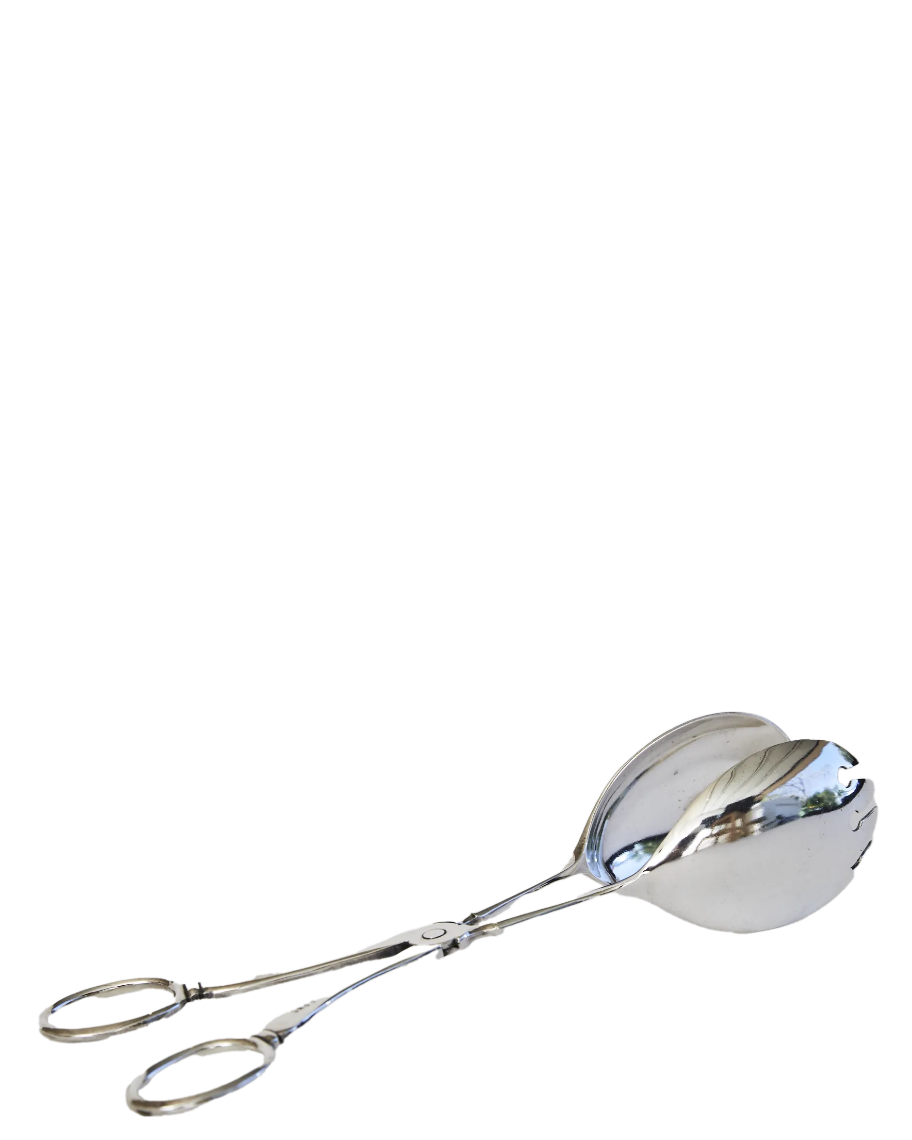 Silver Salad Scissors