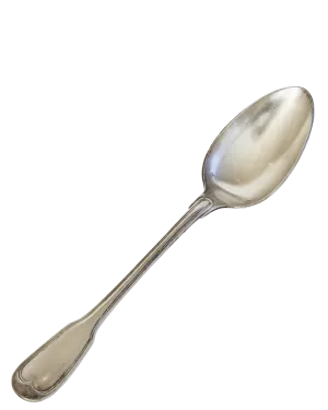 Silver Serving Spoon 01