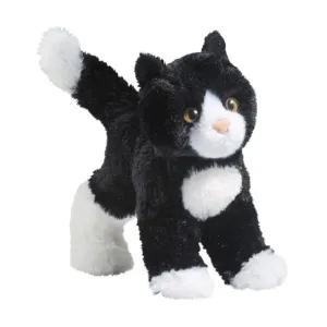 Snippy Black and White Cat