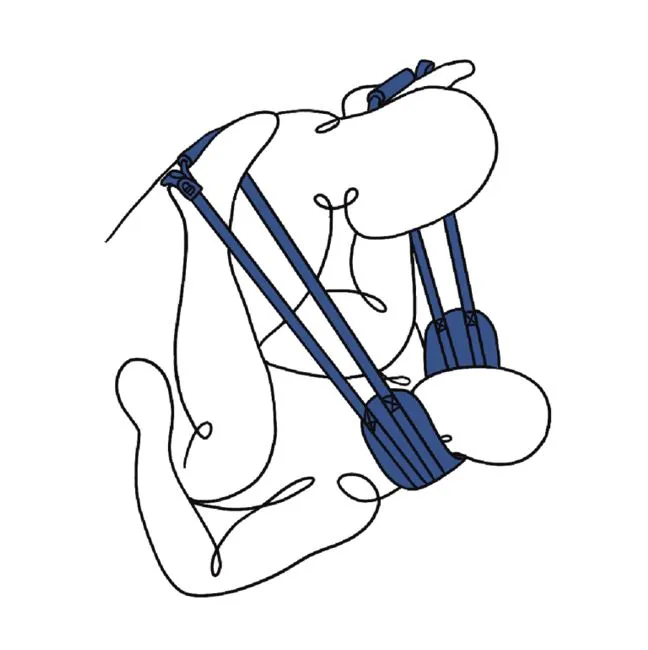 Sportsheets Pivot Deluxe Doggie Strap
