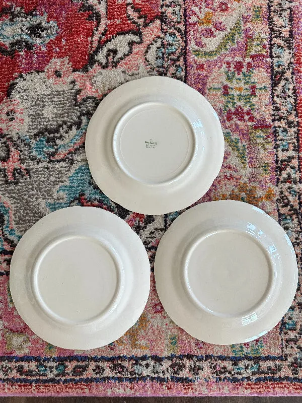 Vintage Dinner Plate, Horse Riding Motif - Leaping, Trot, Road Riding