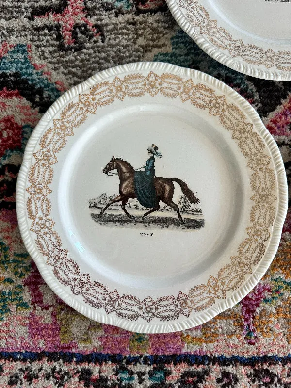 Vintage Dinner Plate, Horse Riding Motif - Leaping, Trot, Road Riding